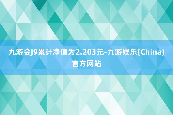 九游会J9累计净值为2.203元-九游娱乐(China)官方网站