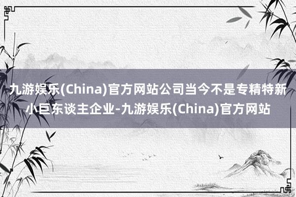 九游娱乐(China)官方网站公司当今不是专精特新小巨东谈主企业-九游娱乐(China)官方网站