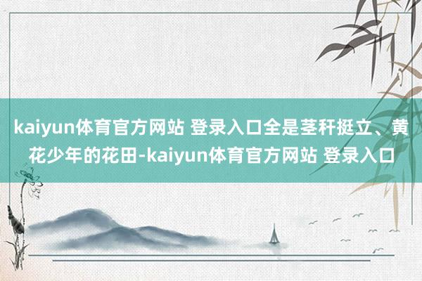 kaiyun体育官方网站 登录入口全是茎秆挺立、黄花少年的花田-kaiyun体育官方网站 登录入口