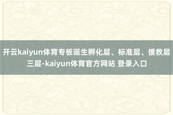 开云kaiyun体育专板诞生孵化层、标准层、援救层三层-kaiyun体育官方网站 登录入口